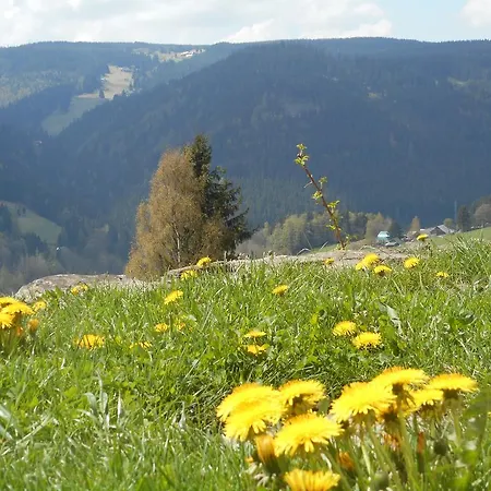 Guest house Horsky Ranc 2*